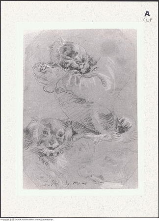 Vorderseite von bh429756_recto