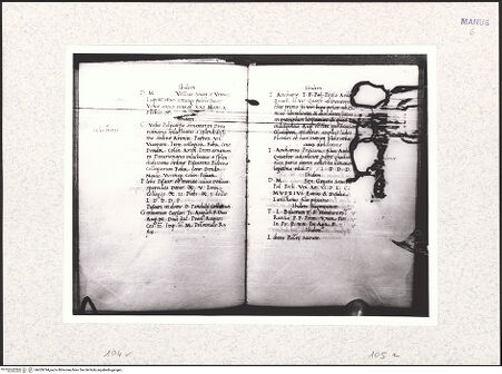 Vorderseite von bh429794_recto