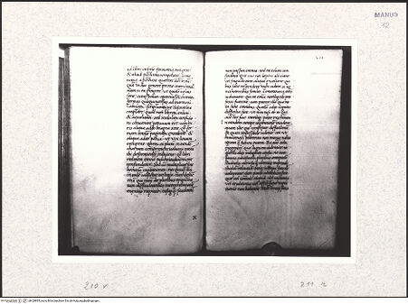 Vorderseite von bh429895_recto