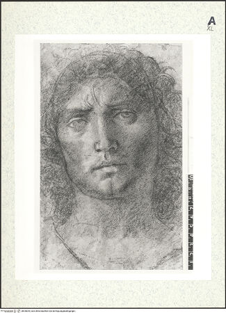 Vorderseite von bh430044_recto