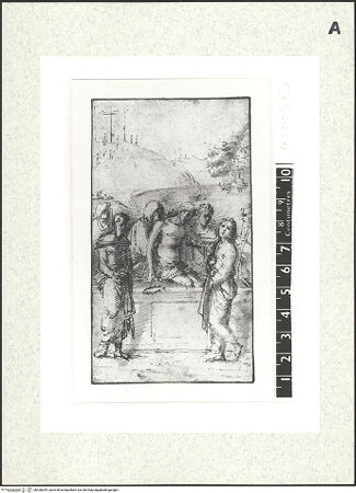 Vorderseite von bh430049_recto