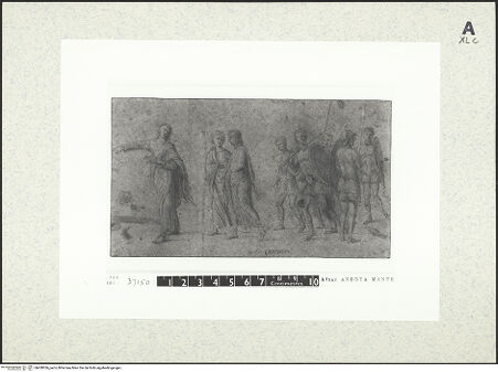 Vorderseite von bh430056_recto