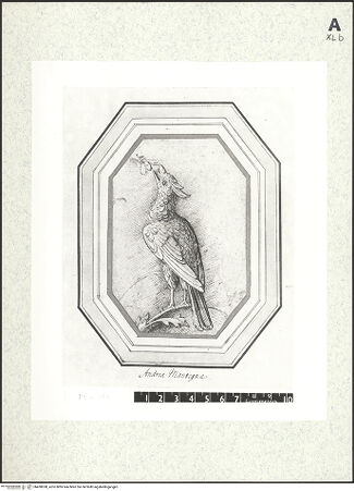 Vorderseite von bh430058_recto