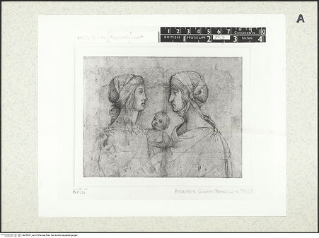 Vorderseite von bh430061_recto