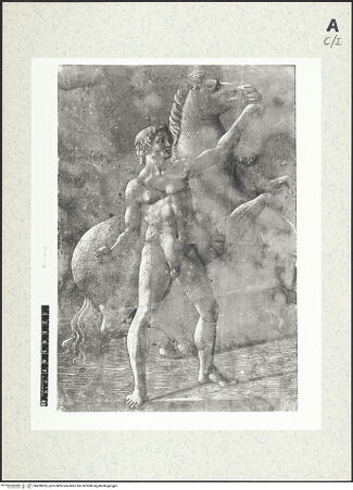 Vorderseite von bh430063_recto