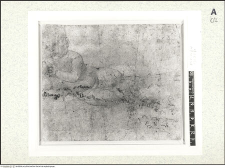 Vorderseite von bh430064_recto