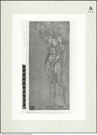 Vorderseite von bh430071_recto