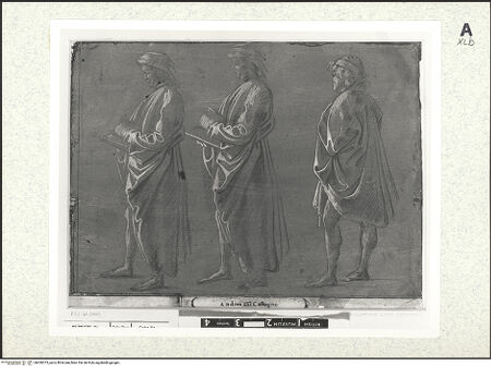 Vorderseite von bh430073_recto