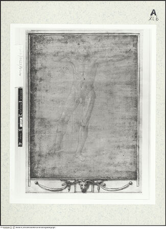 Vorderseite von bh430076_recto