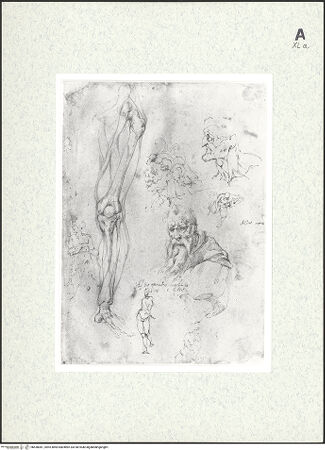 Vorderseite von bh430081_recto