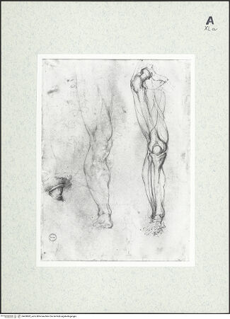 Vorderseite von bh430082_recto