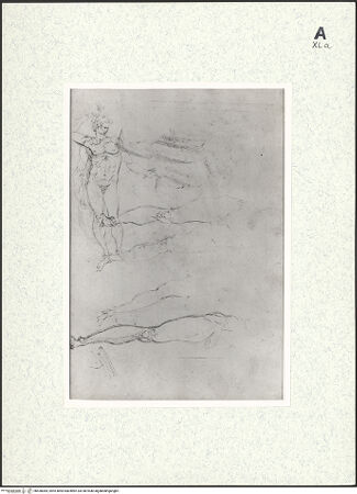 Vorderseite von bh430084_recto