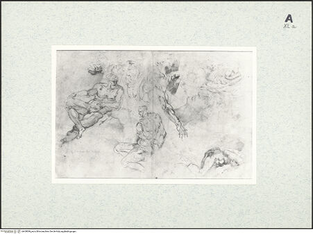 Vorderseite von bh430086_recto