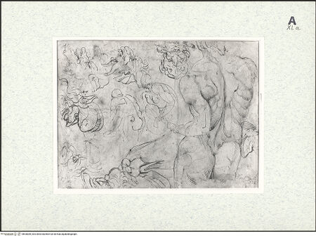 Vorderseite von bh430089_recto