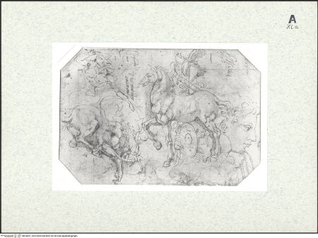 Vorderseite von bh430091_recto