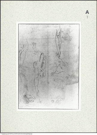 Vorderseite von bh430124_recto