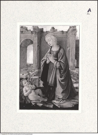 Vorderseite von bh430240_recto