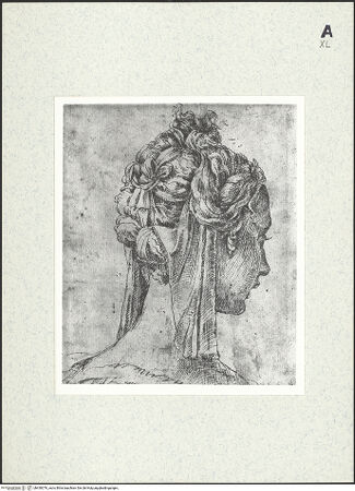 Vorderseite von bh430376_recto