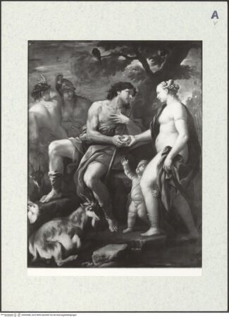 Vorderseite von bh430486_recto