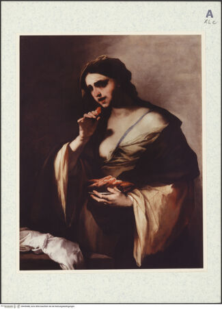 Vorderseite von bh430488_recto