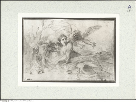 Vorderseite von bh430502_recto