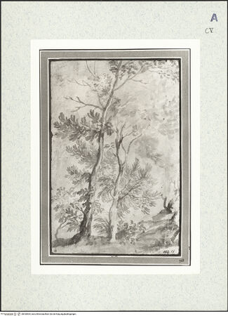 Vorderseite von bh430504_recto