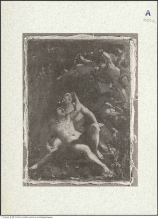 Vorderseite von bh430547_recto