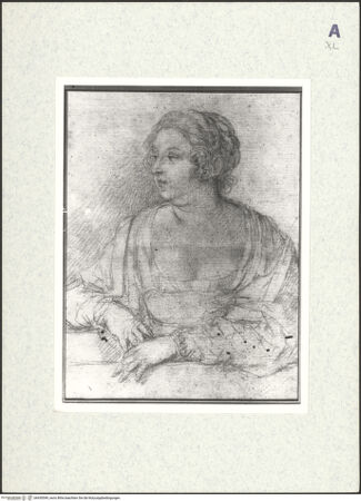 Vorderseite von bh430549_recto