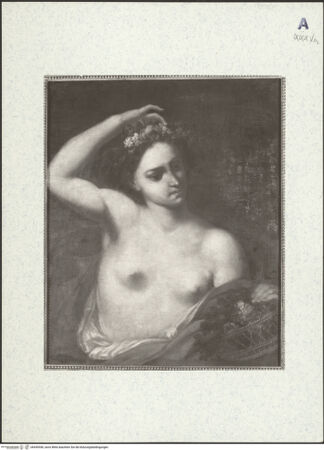 Vorderseite von bh430556_recto