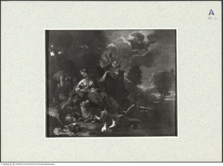 Vorderseite von bh430558_recto