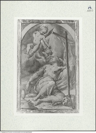 Vorderseite von bh430572_recto