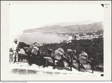 Vorderseite von Alinari [https://www.deutsche-digitale-bibliothek.de/content/lizenzen/rv-ez/] Vedute mit der Küste und Teil des Hafens, bh430619_recto. Foto.