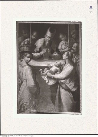 Vorderseite von bh430646_recto