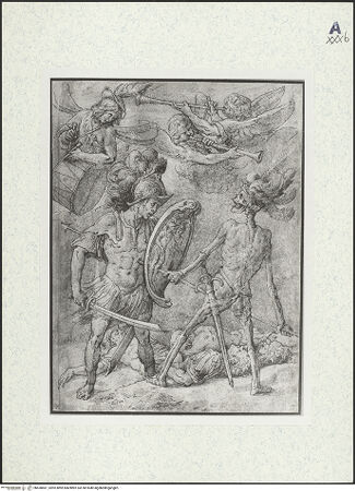 Vorderseite von bh430681_recto