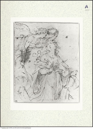 Vorderseite von bh430691_recto