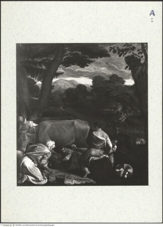 Vorderseite von bh430867_recto