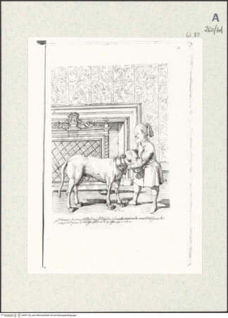 Vorderseite von bh431126_recto