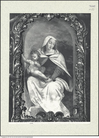 Vorderseite von bh431246_recto