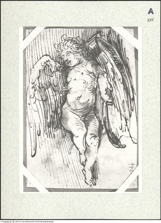 Vorderseite von bh431312_recto