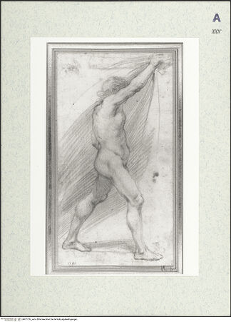 Vorderseite von bh431316_recto