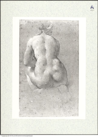 Vorderseite von bh431335_recto