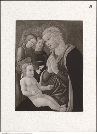 Vorderseite von bh431344_recto