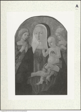 Vorderseite von bh431590_recto