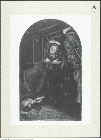 Vorderseite von bh431597_recto