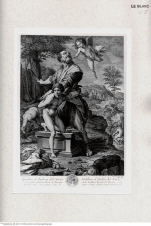 Vorderseite von bh431741