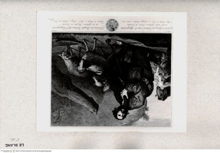 Vorderseite von bh431765