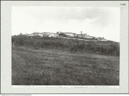 Vorderseite von bh431911_recto