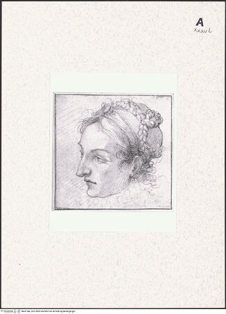 Vorderseite von bh431946_recto