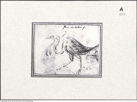 Vorderseite von bh431950_recto