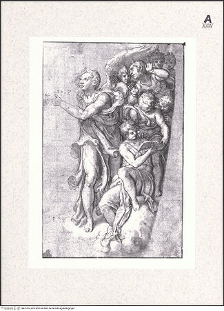 Vorderseite von bh431955_recto